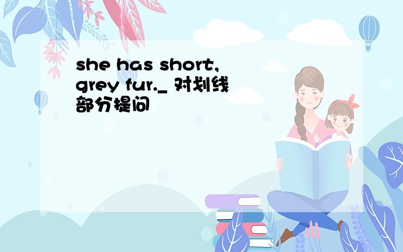 she has short,grey fur._ 对划线部分提问