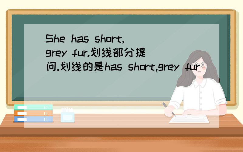 She has short,grey fur.划线部分提问.划线的是has short,grey fur_____ it _____?请快些!