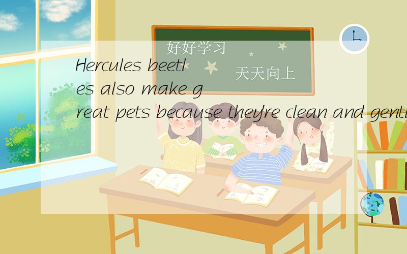 Hercules beetles also make great pets because they're clean and gentle.RT.这是从一篇阅读中“提取”出来的一句话.Hercules beetles also make great pets because they're clean and gentle.我大概知道它的意思,但如果要我翻译