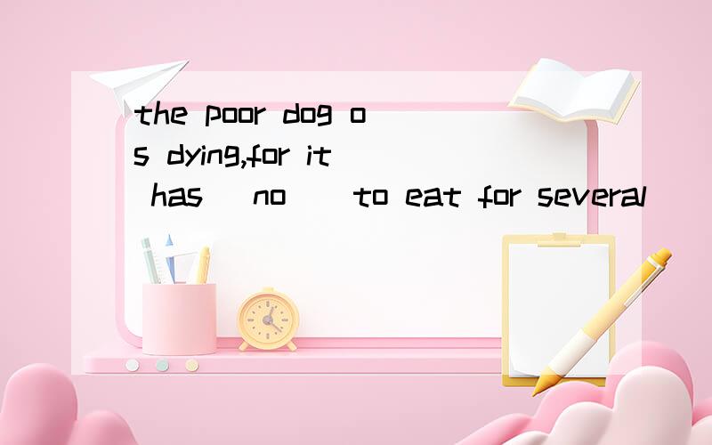 the poor dog os dying,for it has (no ) to eat for several