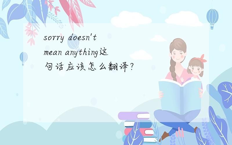 sorry doesn't mean anything这句话应该怎么翻译?
