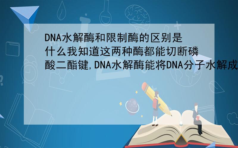 DNA水解酶和限制酶的区别是什么我知道这两种酶都能切断磷酸二酯键,DNA水解酶能将DNA分子水解成单个脱氧核苷酸分子,还是更小的磷酸、碱基、脱氧核糖?限制酶怎么识别碱基序列?怎么知道是