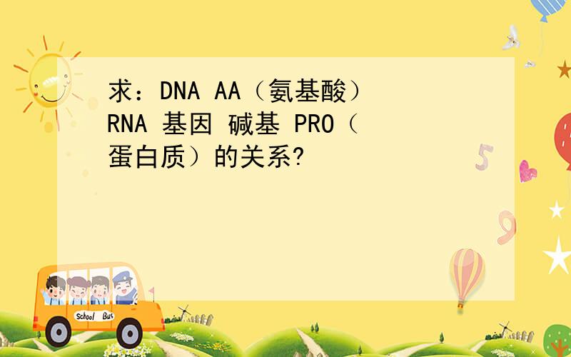 求：DNA AA（氨基酸） RNA 基因 碱基 PRO（蛋白质）的关系?