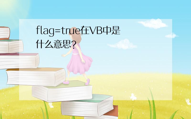 flag=true在VB中是什么意思?