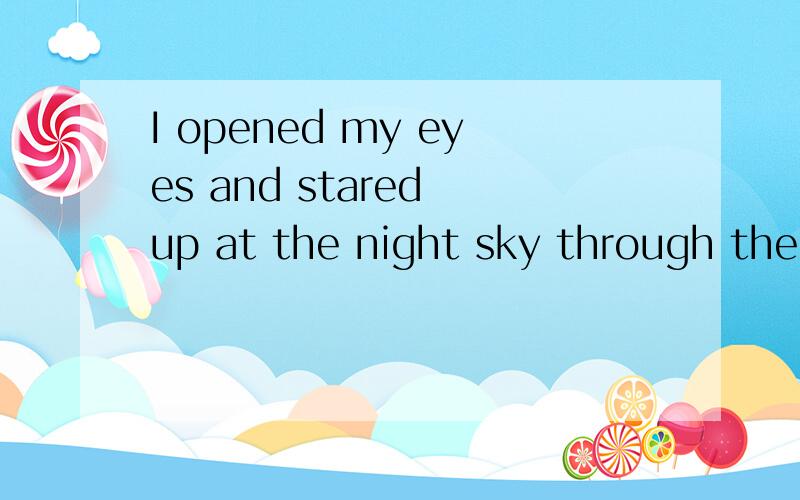I opened my eyes and stared up at the night sky through the looming trees.