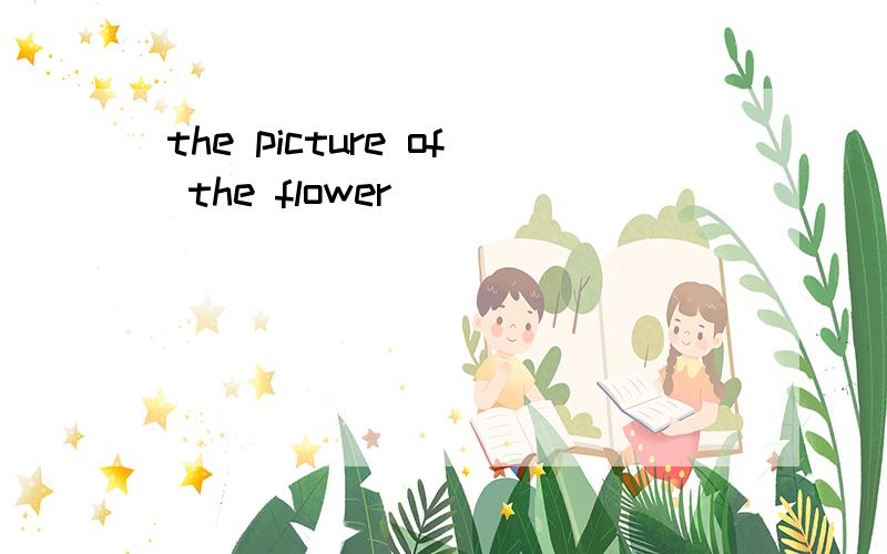 the picture of the flower