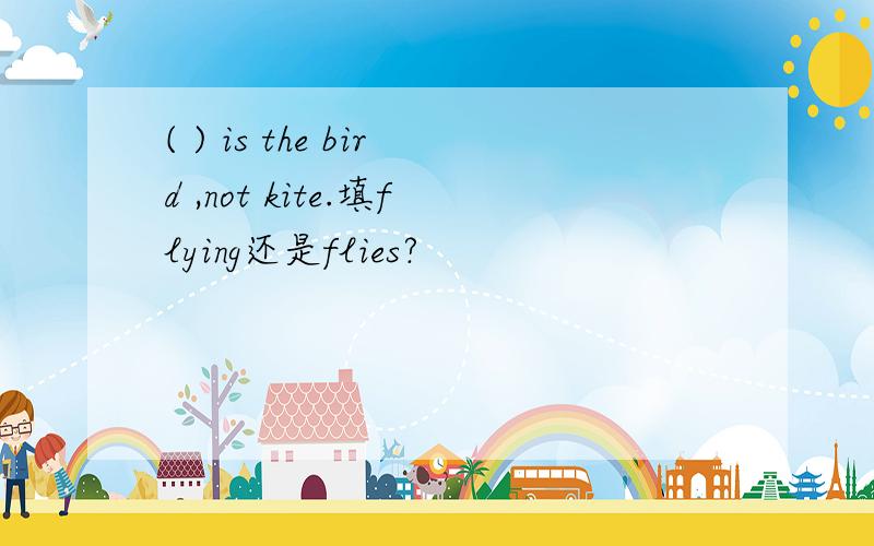 ( ) is the bird ,not kite.填flying还是flies?