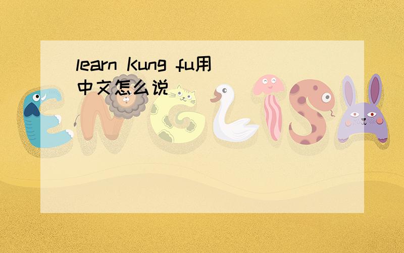 learn Kung fu用中文怎么说