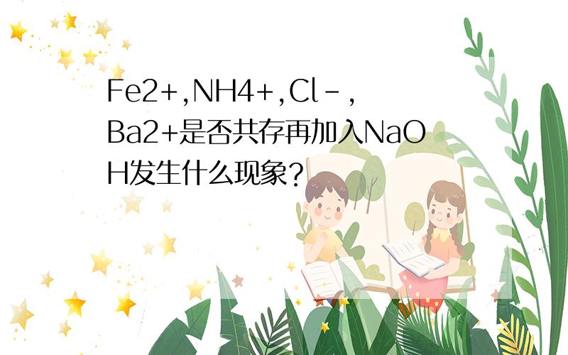 Fe2+,NH4+,Cl-,Ba2+是否共存再加入NaOH发生什么现象？